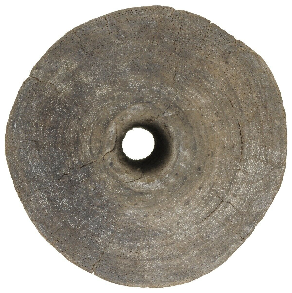 Authentic Tuareg Wooden Well Pulley – Small 13 cm × 10 cm