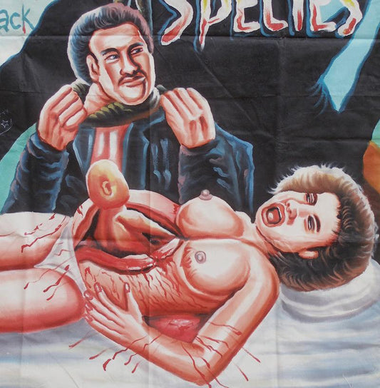 Ghana Movie Poster Hand Painted Species African Wall Art Sd-14746 - alternate view