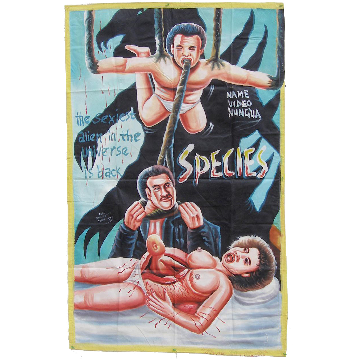 Ghana Movie Poster handgemalte SPEZIES Afrikanische Wandkunst SD-14746