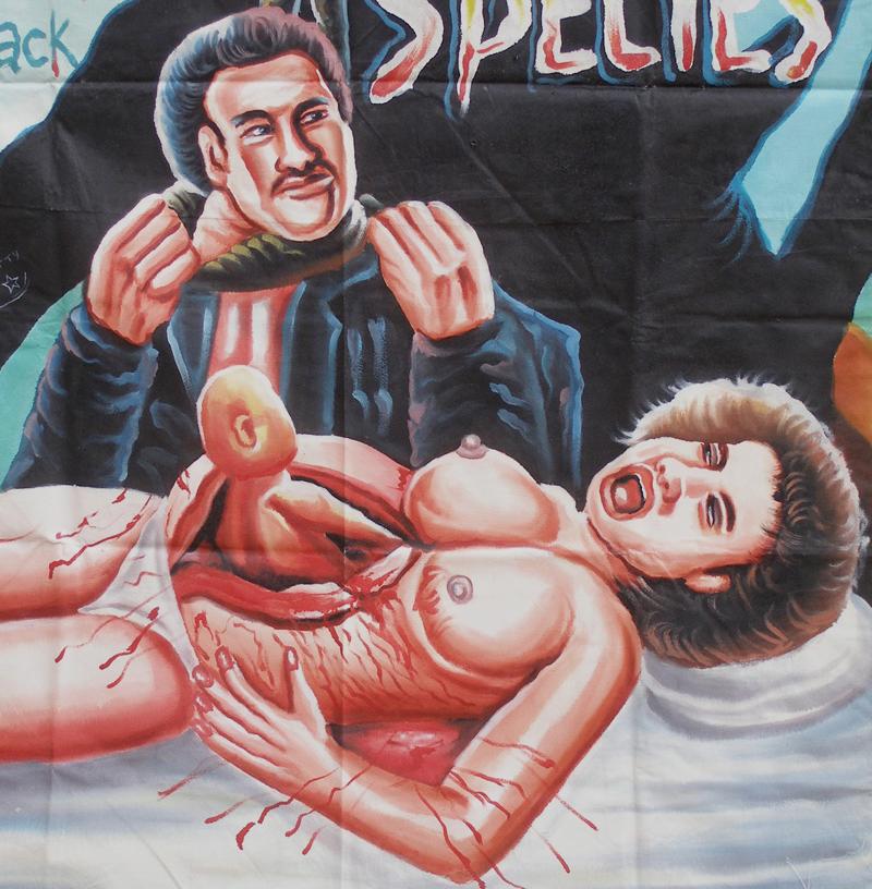 Ghana Movie Poster handgemalte SPEZIES Afrikanische Wandkunst SD-14746